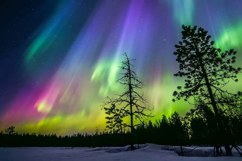 Rovaniemi: Lakeside Private Sauna with Aurora Borealis - The traditional sauna hour: warm, guided, and actually useful