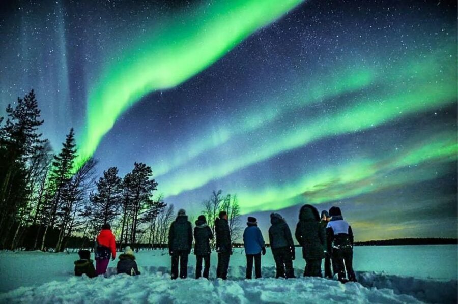 Rovaniemi: Lapland Northern Lights Tour with BBQ - Price and Logistics: Is $81 Worth It for 3 Hours?