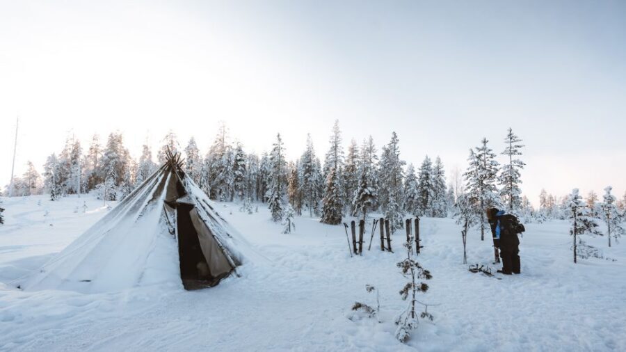 Rovaniemi: Lapland Ski Trekking Safari - Should you book Lapland Ski Trekking Safari?