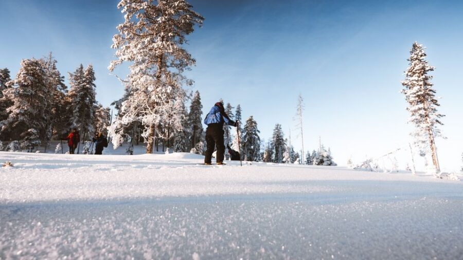 Rovaniemi: Lapland Ski Trekking Safari - Why ski trekking in Rovaniemi feels like real Arctic time