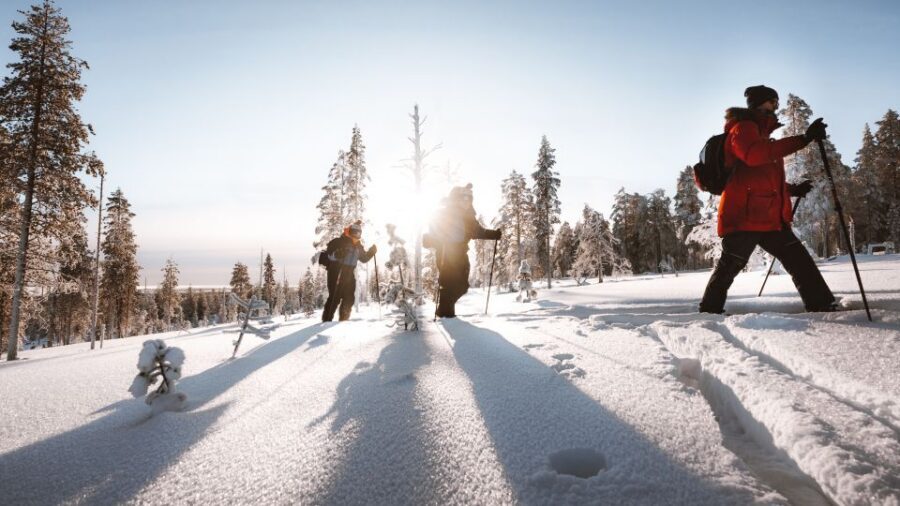 Rovaniemi: Lapland Ski Trekking Safari - Your first lesson: getting comfortable on back-country skis