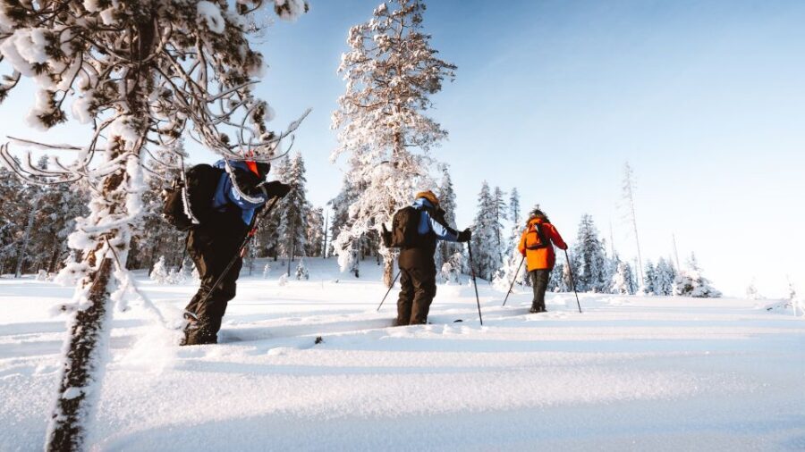 Rovaniemi: Lapland Ski Trekking Safari - The 4-hour flow: taiga, remote snow, and big pauses for photos