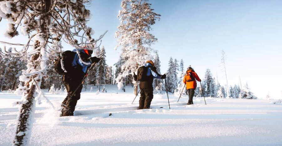 Rovaniemi: Lapland Ski Trekking Safari - Midway warmth: campfire snack, bonfire, and Arctic nature talk