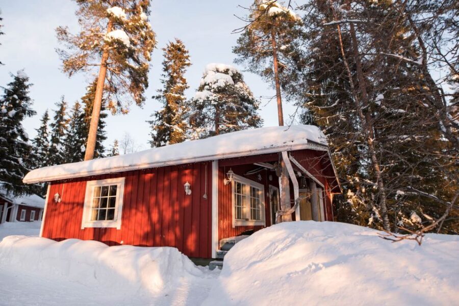 Rovaniemi: Lappish Evening Experience with Dinner - Price and Value: Where the $185 Actually Goes