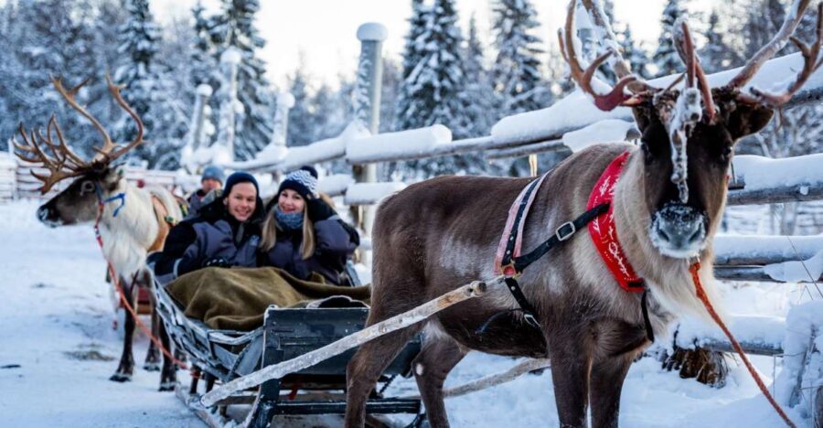 Rovaniemi: Local Reindeer Farm Visit with Sleigh Ride - What to Bring (Besides Patience in the Cold)