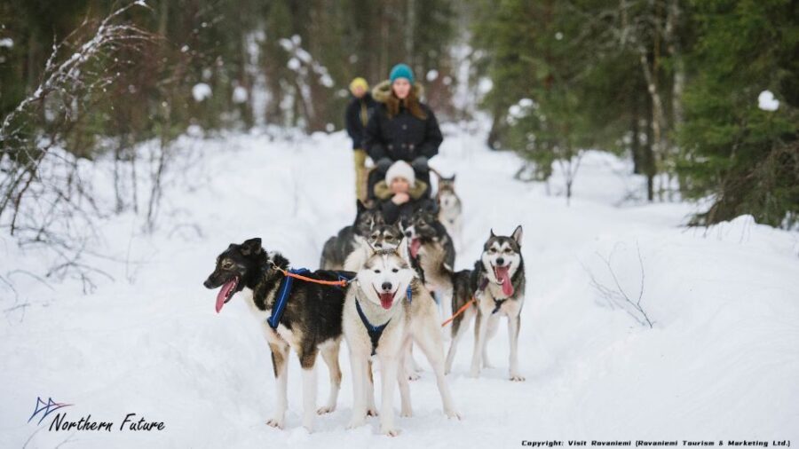 Rovaniemi: Meet Santa Claus, Reindeer Sleigh Ride & Huskies - The Magic Works Because It’s Built Like a Tight Day