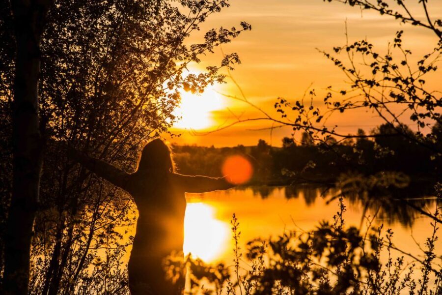 Rovaniemi: Midnight Sun Photography Tour - What This Tour Feels Like (Based on Real Guide Strength)