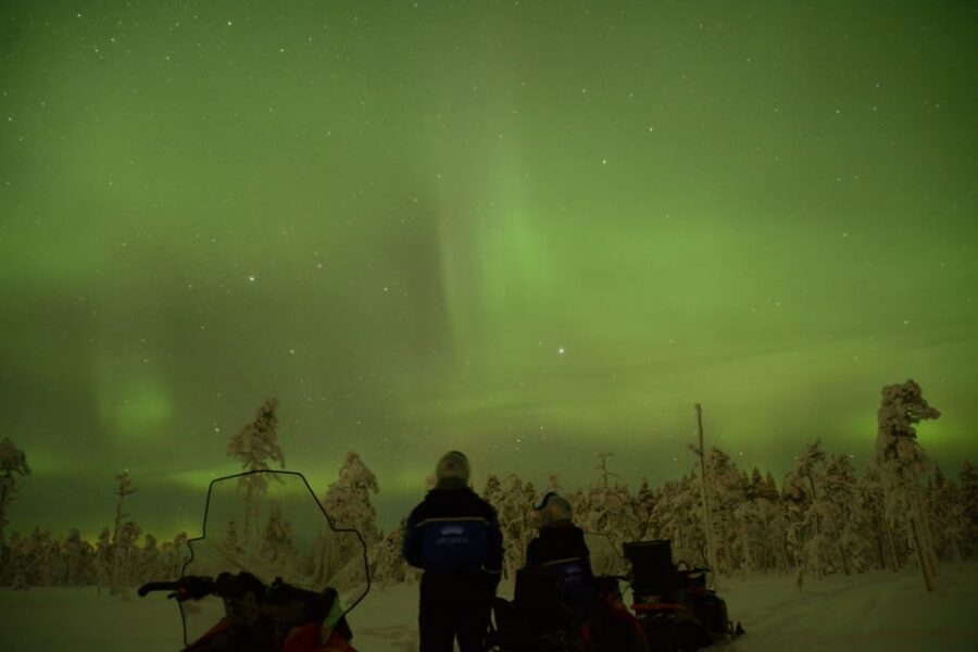 Rovaniemi: Night Snowmobile Tour - Safety, Liability, and the Self-Liability Choice