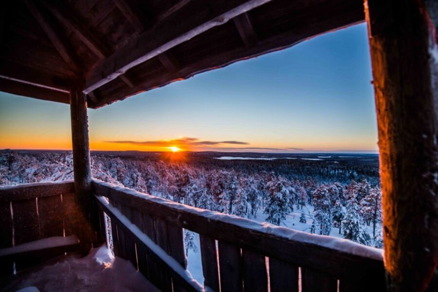 Rovaniemi: Nordic Forest Wilderness Adventure - The Arctic Fell Climb to the Sightseeing Tower Views