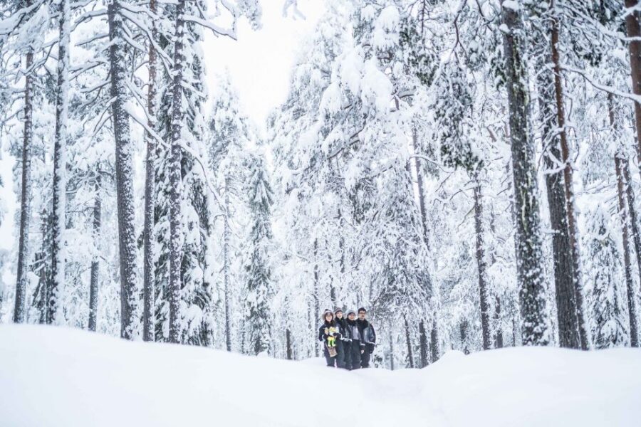 Rovaniemi: Nordic Forest Wilderness Adventure - What the Photography Guide Does That You’d Miss on Your Own