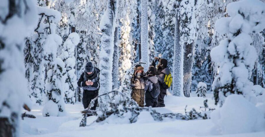 Rovaniemi: Nordic Forest Wilderness Adventure - Gear, Warmth, and Small-Group Comfort (What’s Provided)