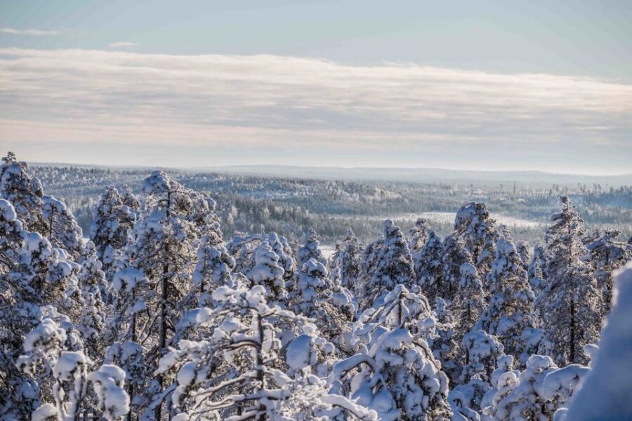 Rovaniemi: Nordic Forest Wilderness Adventure - The Route vs. Your Expectations: How Long It Really Feels