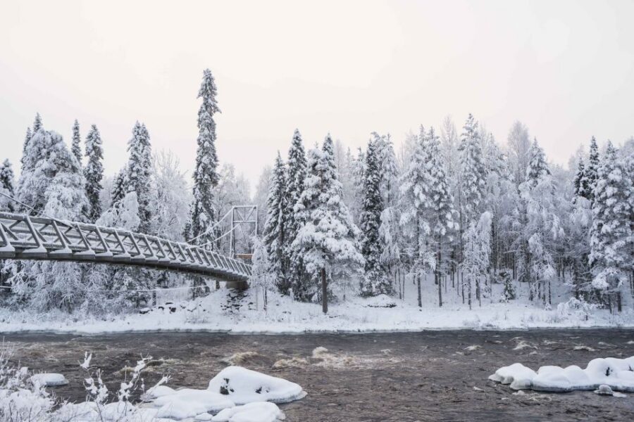 Rovaniemi: Nordic Forest Wilderness Adventure - Price and Value: Is $159 for 4 Hours a Fair Deal?