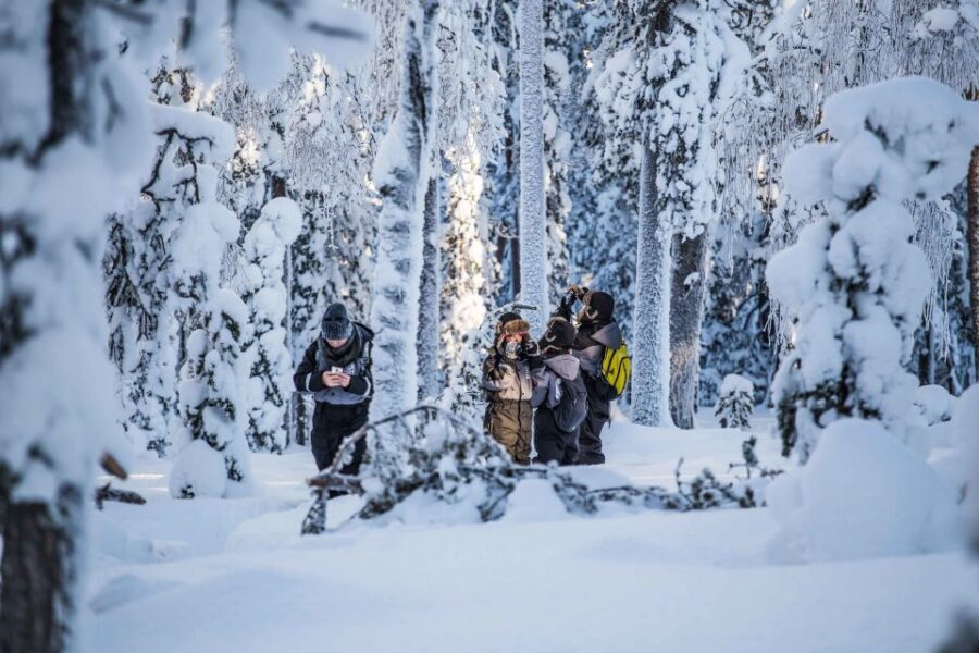 Rovaniemi: Nordic Forest Wilderness Adventure - Who Should Book This Wilderness Adventure in Rovaniemi