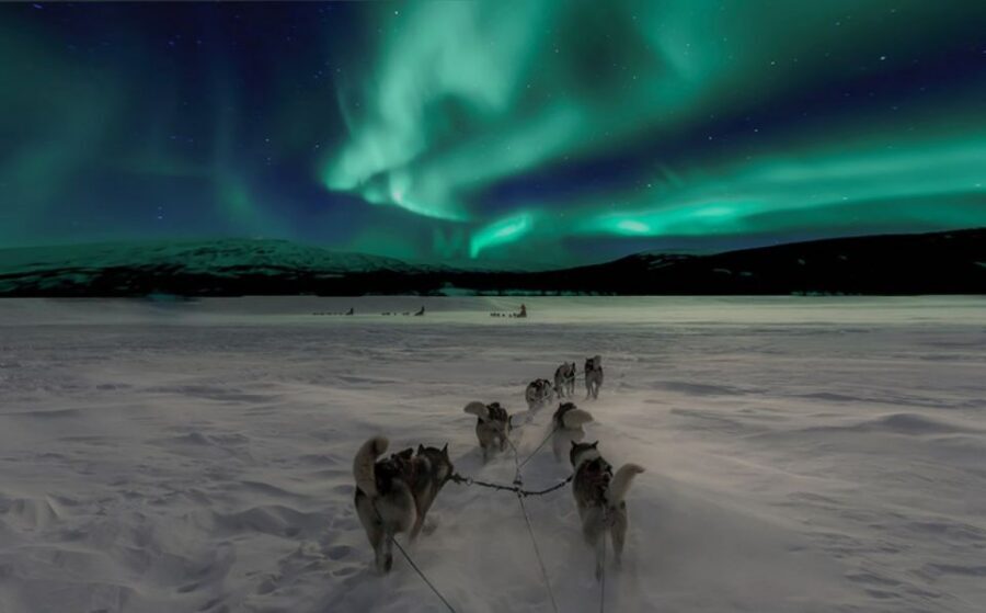 Rovaniemi: Northern Lights and Husky Sleigh Ride - Rovaniemi in 3.5 hours: husky power plus an aurora hunt