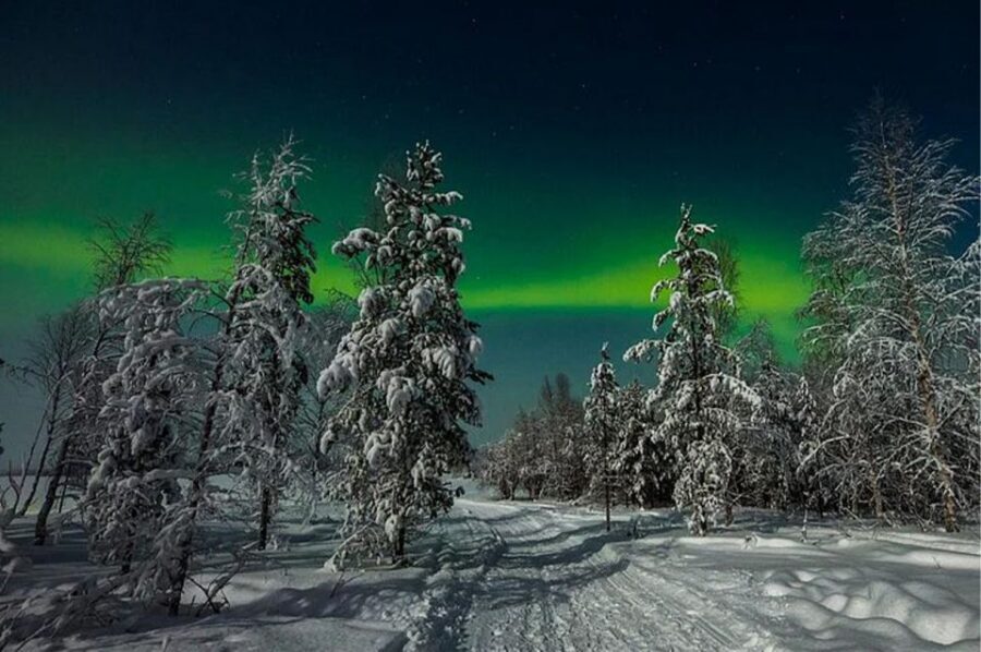 Rovaniemi: Northern Lights and Husky Sleigh Ride - Getting picked up and meeting your husky team at the farmhouse