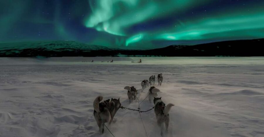 Rovaniemi: Northern Lights and Husky Sleigh Ride - Winter clothes, comfort, and safety on icy ground