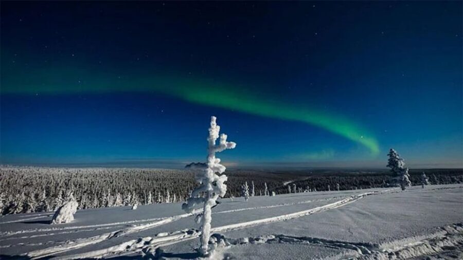 Rovaniemi: Northern Lights and Husky Sleigh Ride - Price and value at $269: what you get for your money