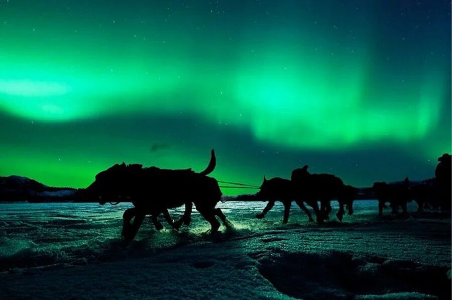 Rovaniemi: Northern Lights and Husky Sleigh Ride - FAQ