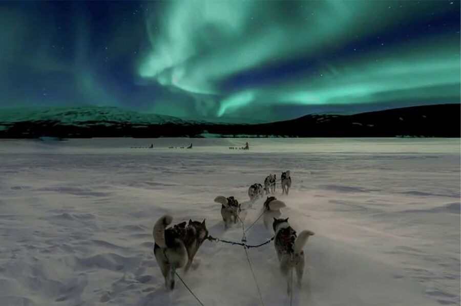 Rovaniemi: Northern Lights and Husky Sleigh Ride - The 5-km husky sleigh ride: views, speed, and how it feels