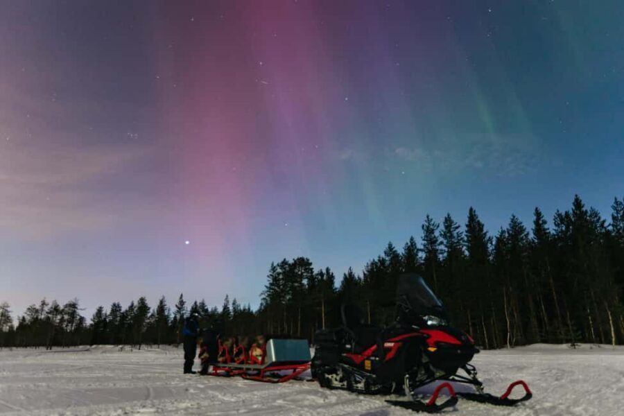 Rovaniemi: Northern Lights Family-Friendly Snowmobile Safari - Key highlights that matter on this tour