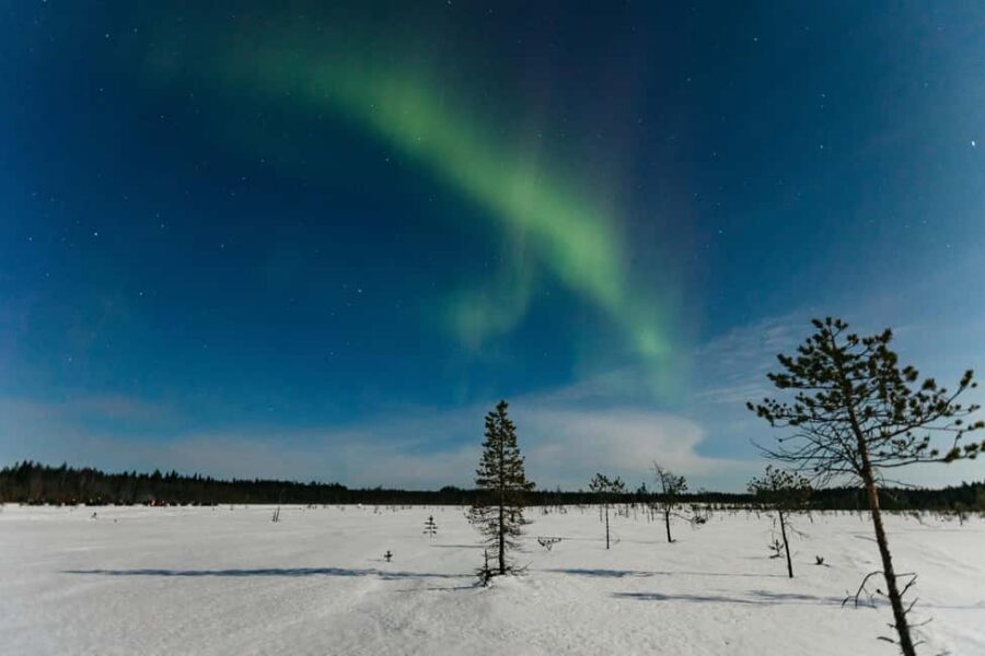 Rovaniemi: Northern Lights Family-Friendly Snowmobile Safari - Rovaniemi after dark: what this 3-hour family snowmobile safari really feels like