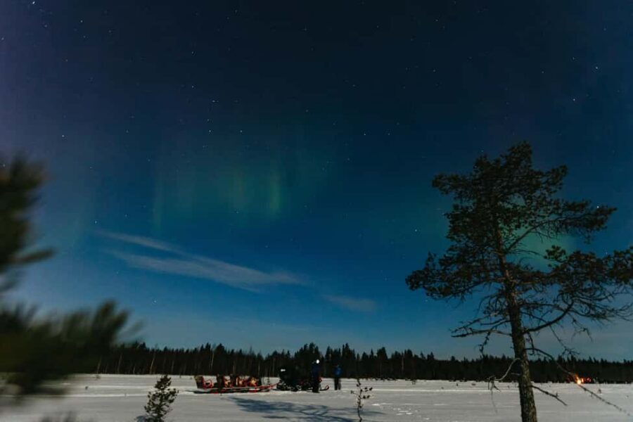 Rovaniemi: Northern Lights Family-Friendly Snowmobile Safari - Who this tour suits best, and who should consider another option