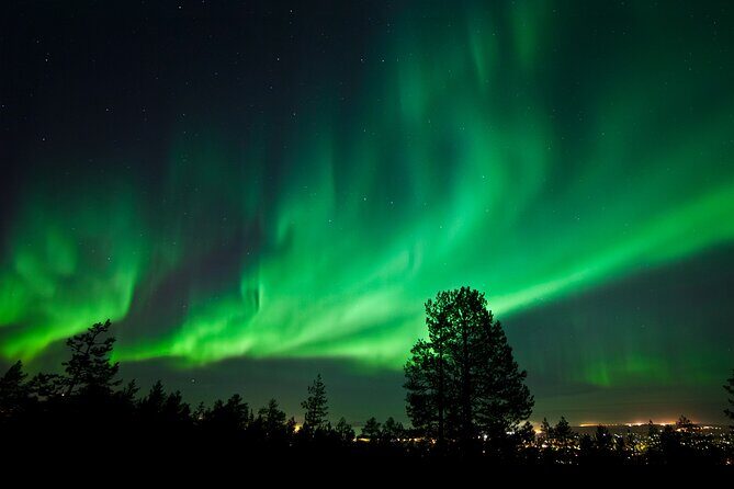 Rovaniemi: Northern Lights Group Tour - Guaranteed View - Warmth Plan: Thermal Gear, Hot Juice, Cookies, and Campfire Time