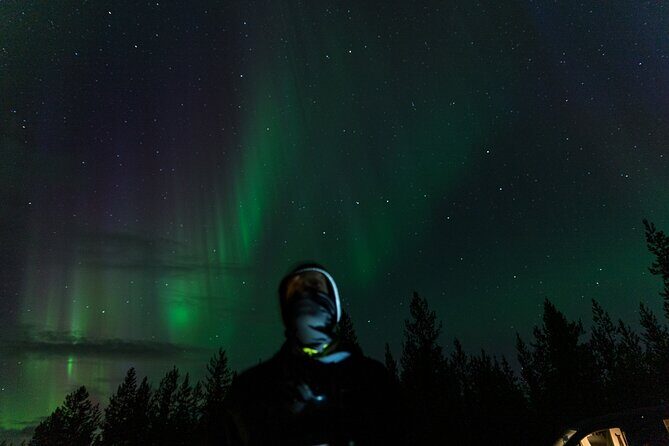 Rovaniemi: Northern lights money back tour - Weather-Dependent Nights and the Importance of Updates