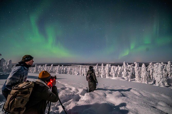 Rovaniemi Northern Lights Photography Small-Group Tour - Photography coaching that helps you actually get the shot