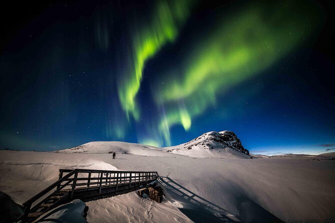 Rovaniemi Northern Lights Photography Small-Group Tour - Lapland’s aurora hunt style: private spots, silence, and quick decisions