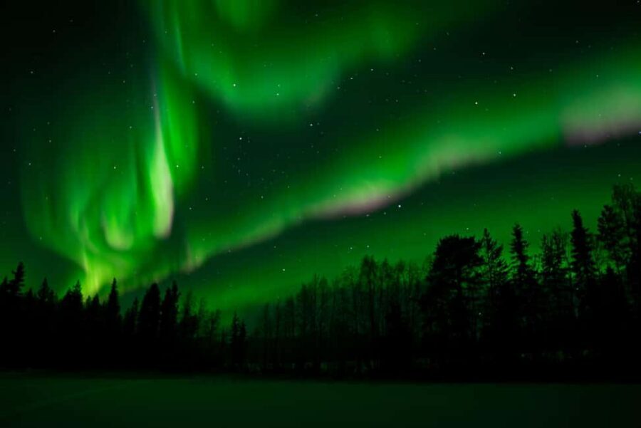 Rovaniemi: Northern Lights Photography Tour & BBQ - Duration and group dynamics: 3.5 hours that can stretch