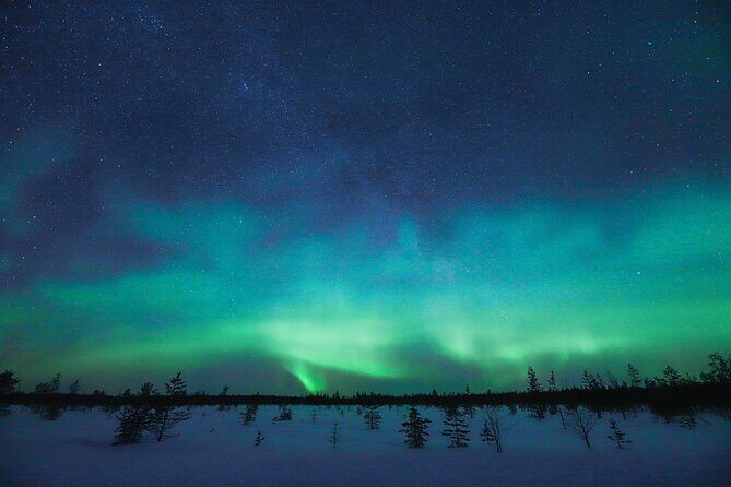 Rovaniemi: Northern Lights Pro Guaranteed - Unlimited Distance - Your guide’s job: weather, solar data, and fast repositioning