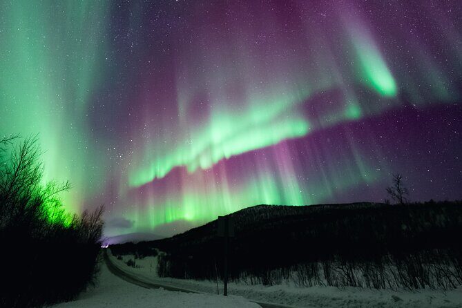 Rovaniemi: Northern Lights Pro Guaranteed - Unlimited (PRIVATE) - Why this Rovaniemi aurora hunt feels more planned than luck