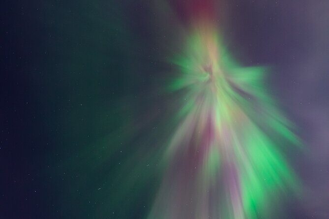 Rovaniemi: Northern Lights Pro Guaranteed - Unlimited (PRIVATE) - Price and value: is $1,773.43 per group worth it?