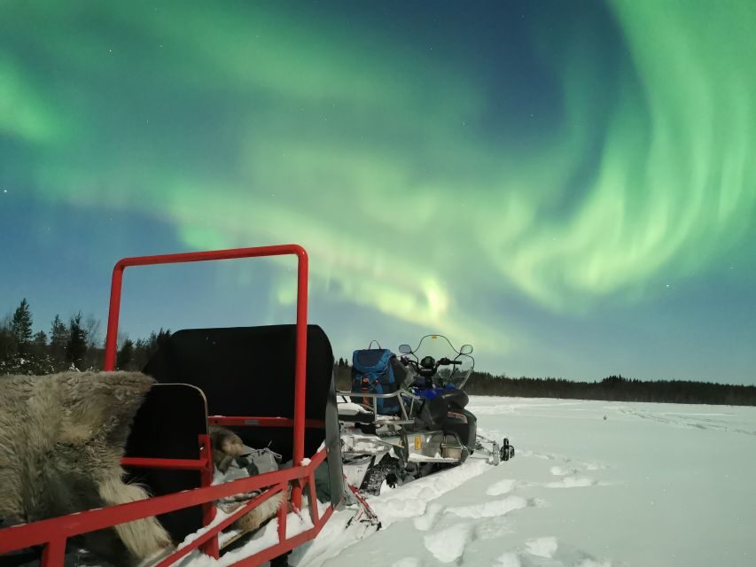 Rovaniemi: Northern Lights Sledge Ride - Why the Guides Matter (and Who You’ll Hear on the Night)