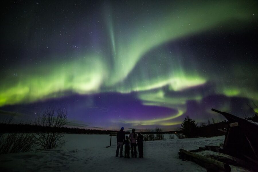 Rovaniemi: Northern Lights Sledge Ride - Meeting Points in Rovaniemi: The Two Offices You Need