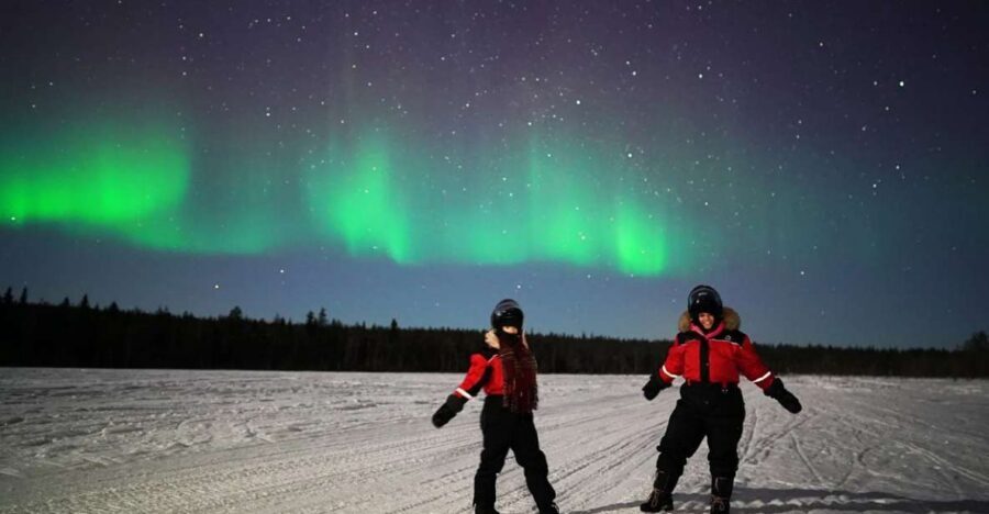 Rovaniemi: Northern Lights Sleigh Ride - The sleigh ride: fast, bumpy, and thrilling in the best way