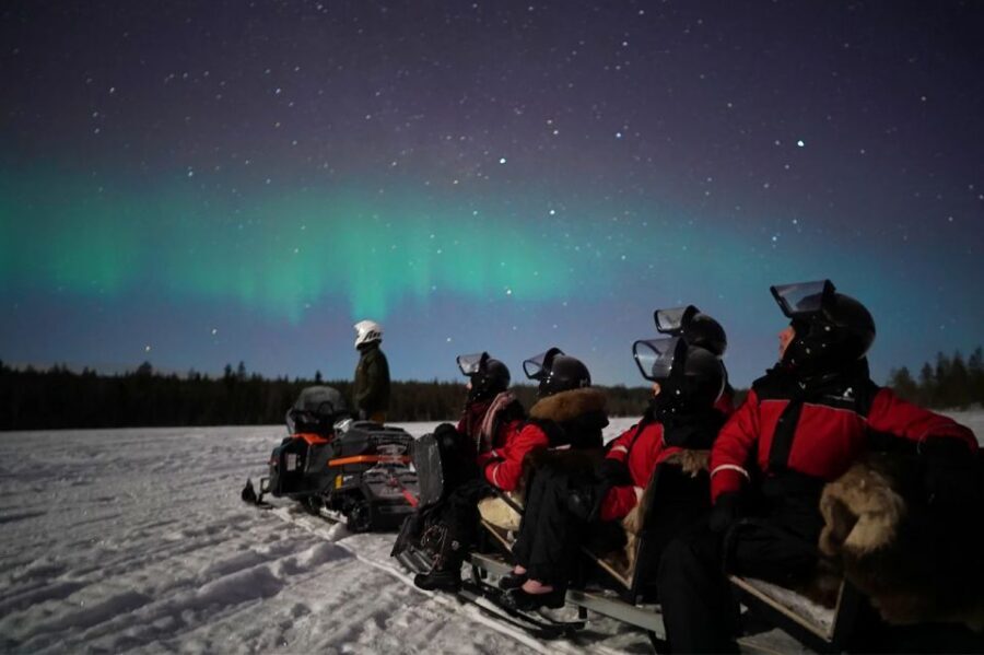Rovaniemi: Northern Lights Sleigh Ride - Aurora stories, hot blueberry juice, and campfire warmth