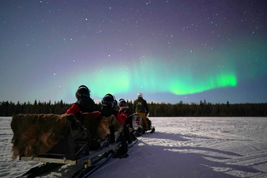 Rovaniemi: Northern Lights Sleigh Ride - Northern Lights expectations: what you can control
