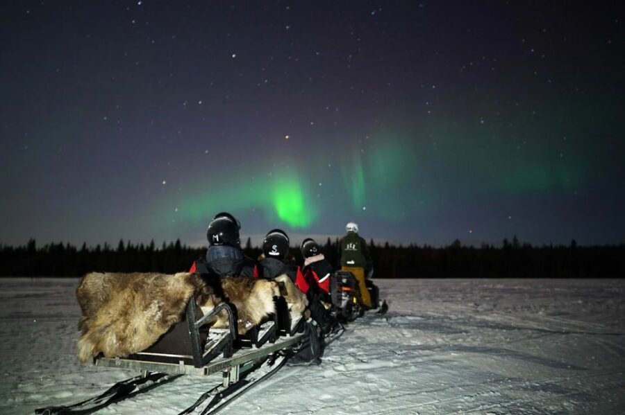 Rovaniemi: Northern Lights Sleigh Ride - Who should book this Rovaniemi sleigh ride, and who shouldn’t