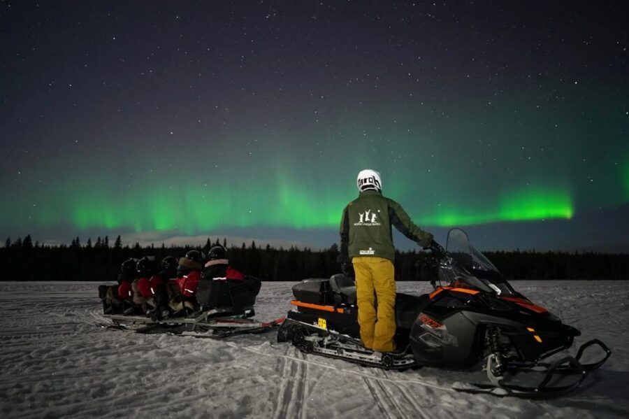 Rovaniemi: Northern Lights Sleigh Ride - Should you book this Northern Lights sleigh ride from Rovaniemi?