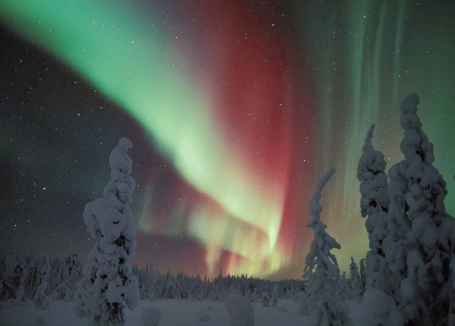 Rovaniemi: Northern Lights Snowmobile Safari with Campfire - How the 4-Hour Night Safari Actually Plays Out in Rovaniemi