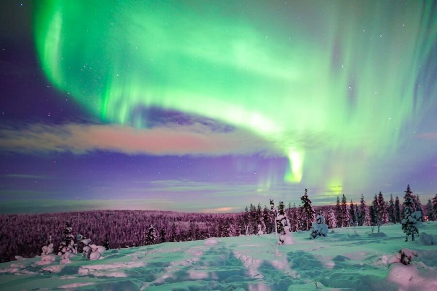 Rovaniemi: Northern Lights Snowmobile Tour - Key Points Before You Go