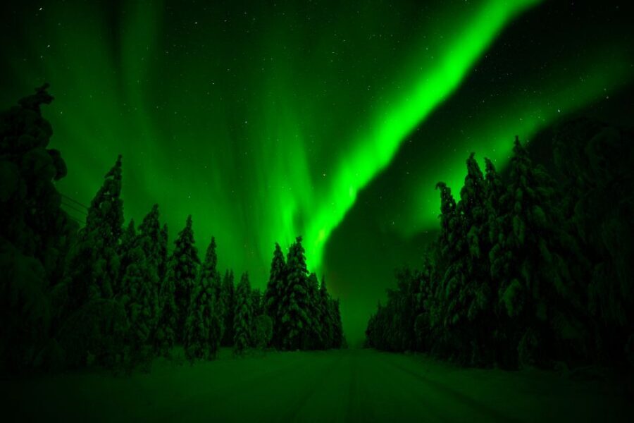 Rovaniemi: Northern Lights Snowmobile Tour - Snowmobile Setup: Sharing a Sled and Driving Rules That Matter