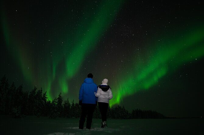Rovaniemi: Northern Lights Tour - Key things I’d bet on before you book
