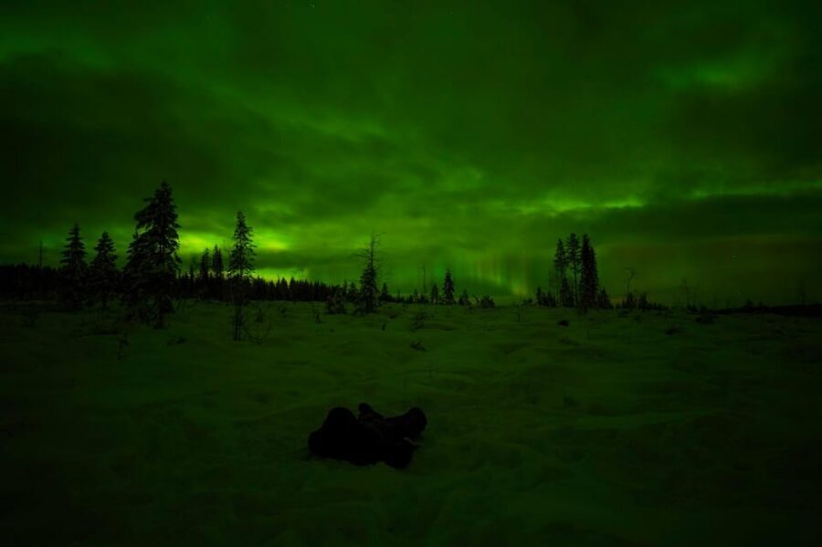 Rovaniemi: Northern Lights Tour at the Campfire - Key highlights in plain terms