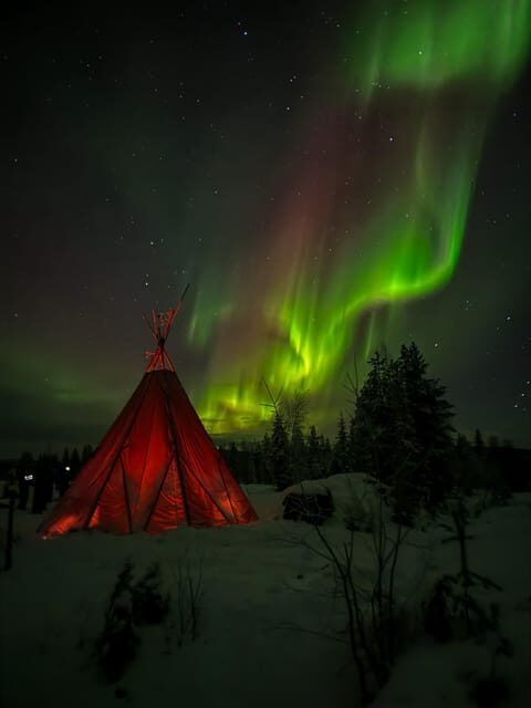 Rovaniemi: Northern Lights Tour at the Campfire - Roasted Snack Over the Fire and Warm Berry Juice