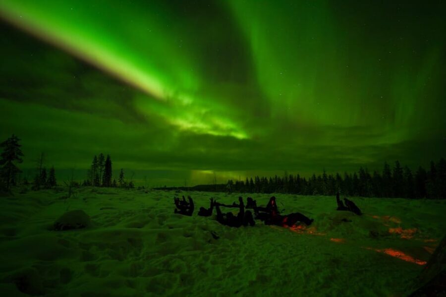 Rovaniemi: Northern Lights Tour at the Campfire - The Van Ride into Rovaniemi’s Winter Night