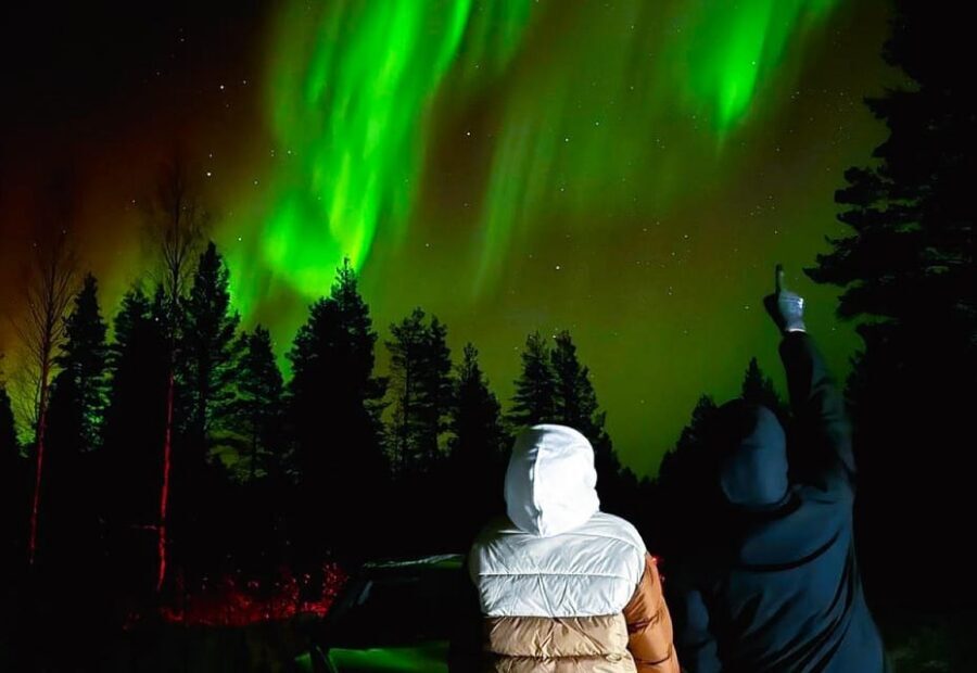 Rovaniemi: Northern Lights Tour with BBQ - Key things worth knowing before you go